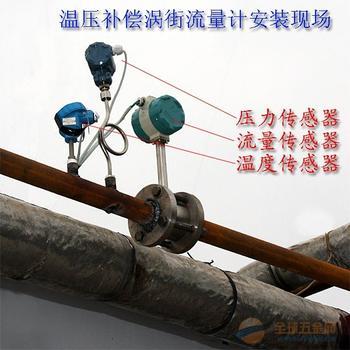 文登電廠專用蒸汽流量計